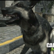 Illustration for article titled Thanks, emCall of Duty/em Dog, For Brightening Up A Mostly Dull Xbox Event